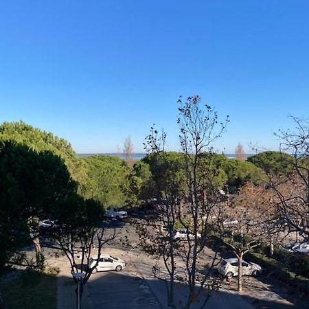 Charmant Studio Refait A Neuf Carnon Port 34 Mauguio Kültér fotó